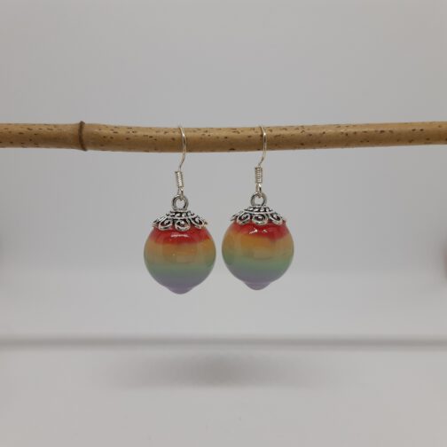 Ohrringe "Glossy Rainbow Drop"