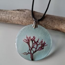 Meer-Medaillon Kettenanhänger mit Algen Nr.79